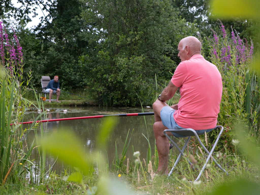 Vissen in een natuurlijk omgeving op deze mooie camping in Nederland