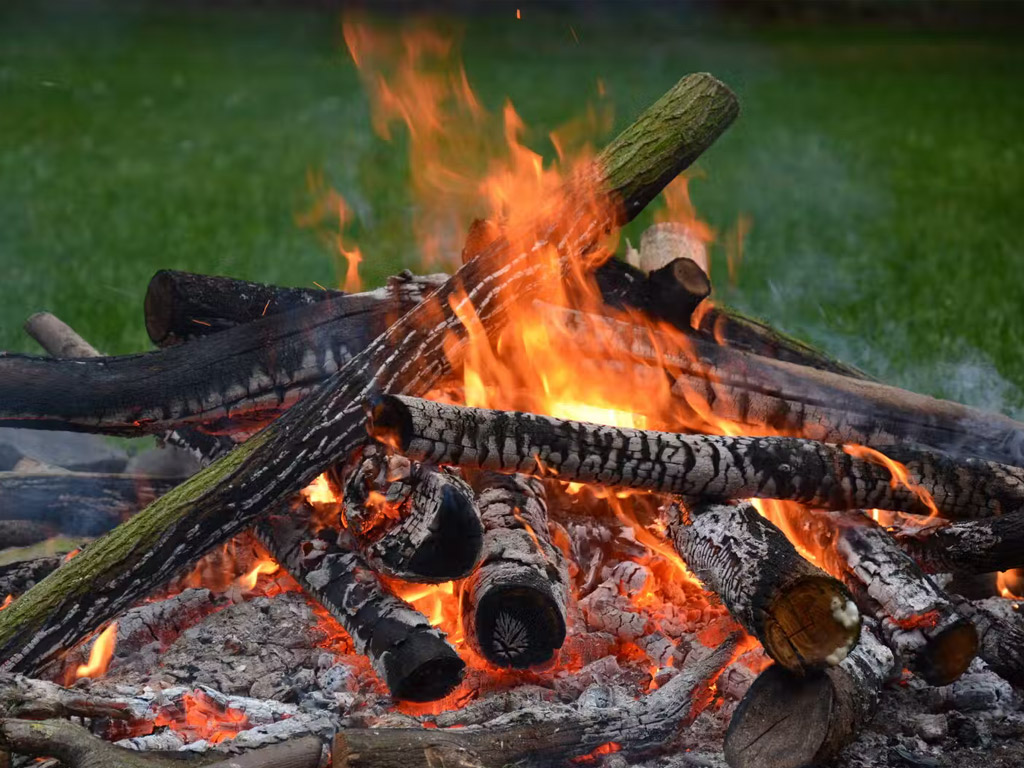 Boerderij De Vrije Geest 22