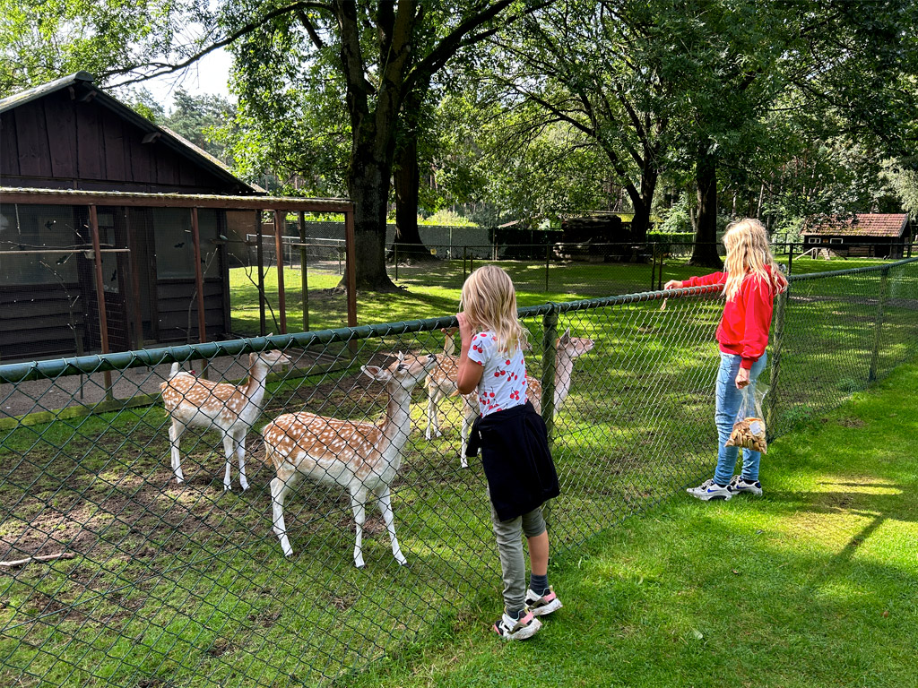 Kinderboerderij op Ardoer Camping de Heldense Bossen