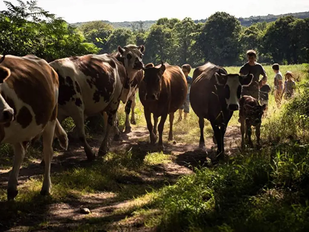 Camping La Ferme De Penquelen 5