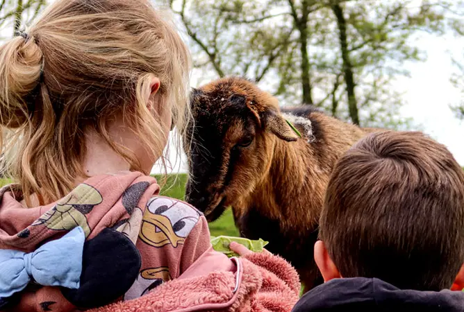 Tips voor het vinden van een geschikte camping voor kinderen