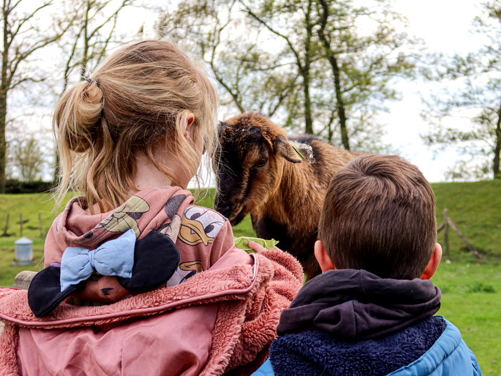 Ga op zoek naar een leuke camping voor je kinderen