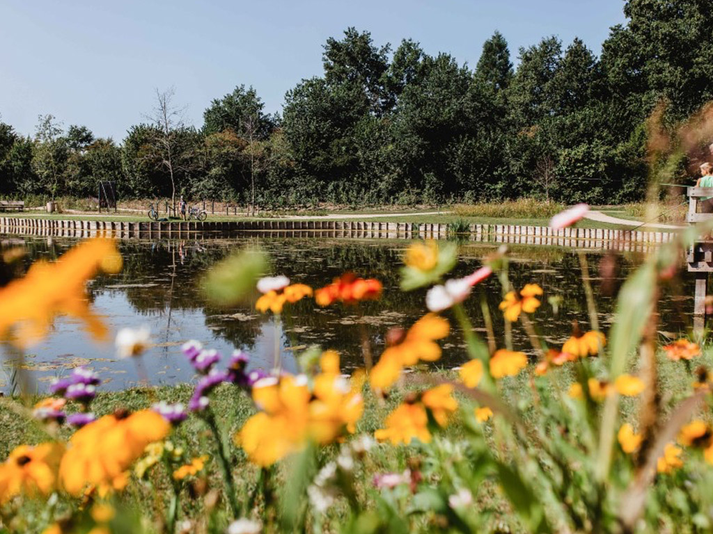 Camping de kleine wolf - camping van het jaar 2025