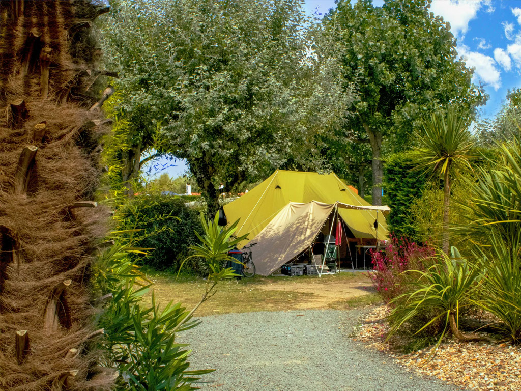 Camping Le Bois Verdon 5