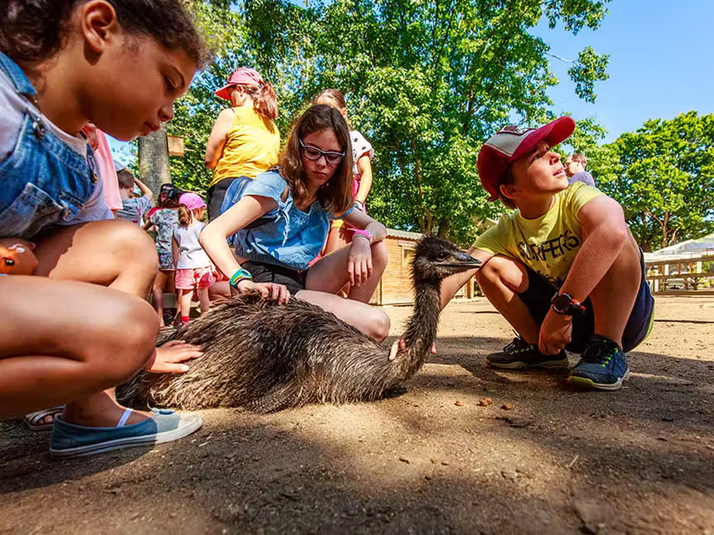 Eden Villages Domaine De Brehadour 4