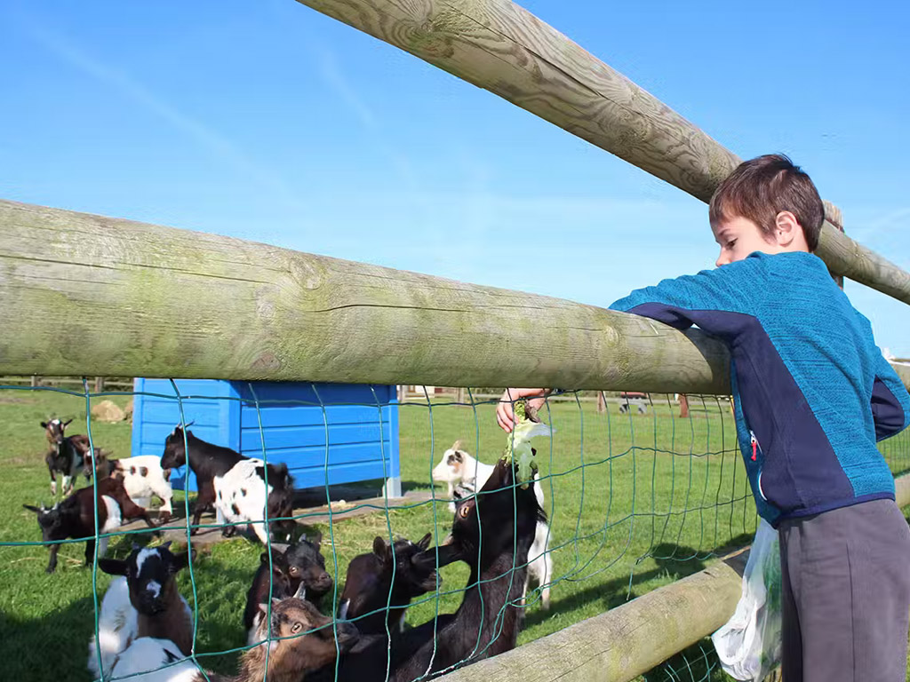 Camping Le Cormoran 6