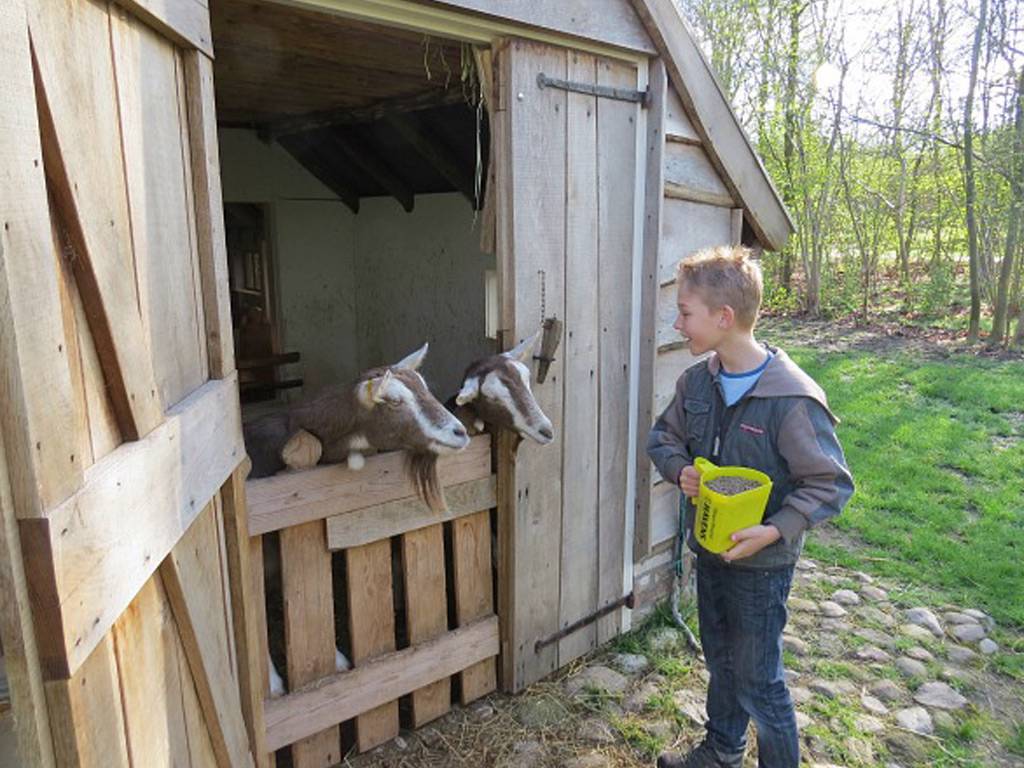 Kleine groene natuurcamping met veel privacy