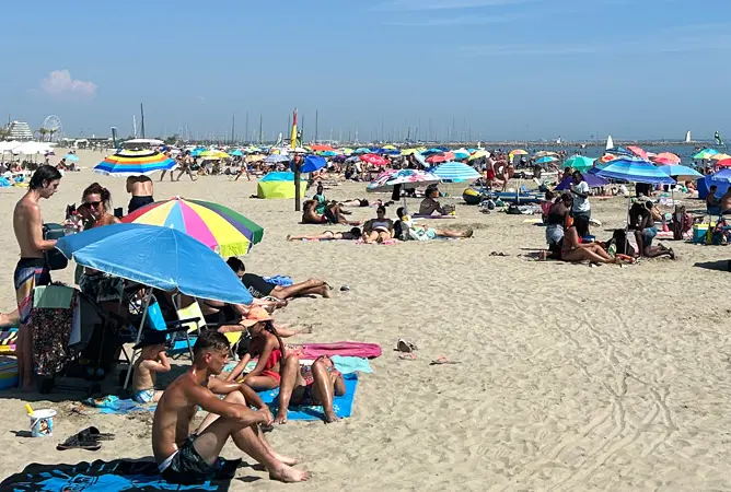 Wij gingen kamperen in… de Zuid-Franse Camargue