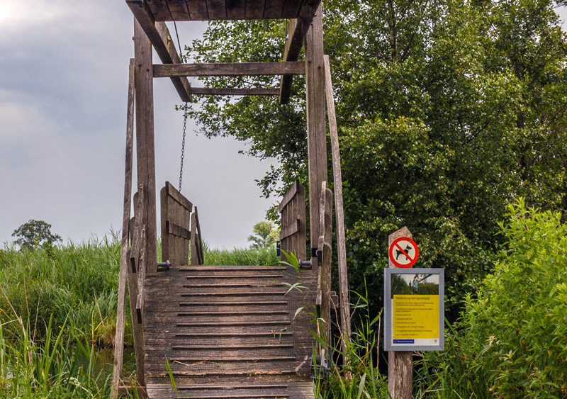 Natuur (1) (1) (1)