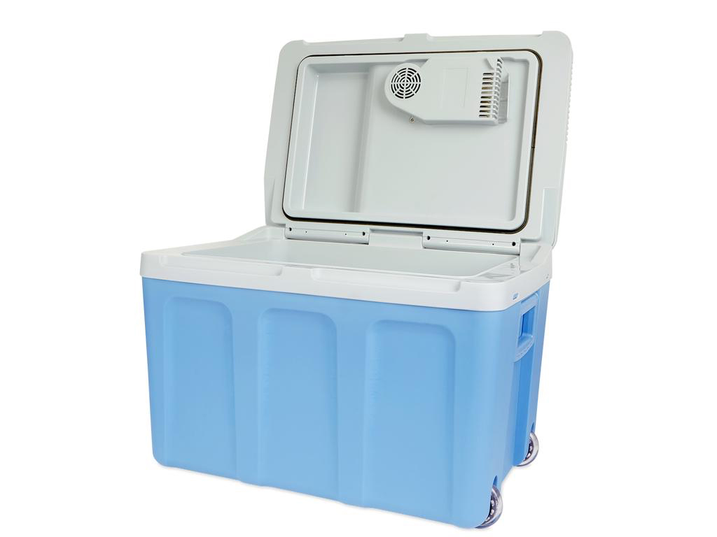 Een thermo-elektrische koelbox bij de action