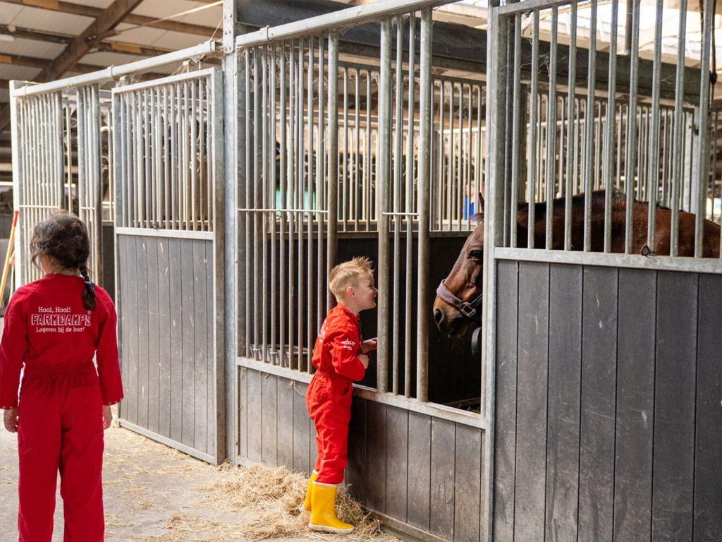 Farmcamps De Geele Bosch 9