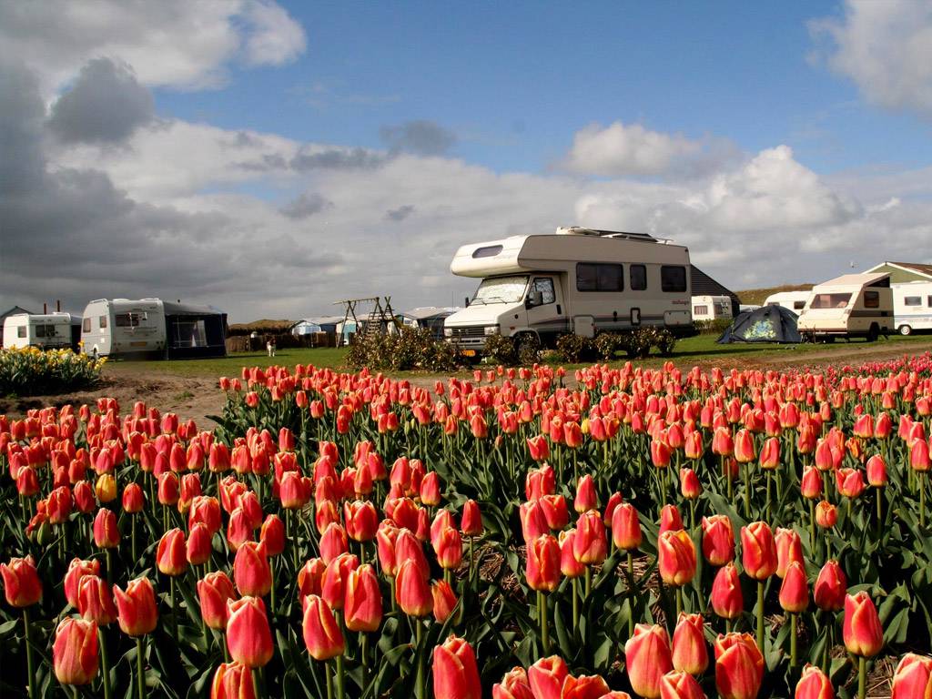 Luxe boerencamping midden tussen de bloembollenvelden