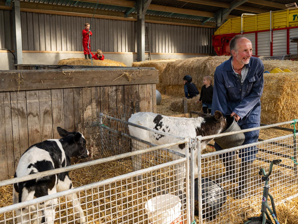 Camping De Bonte Fries 2