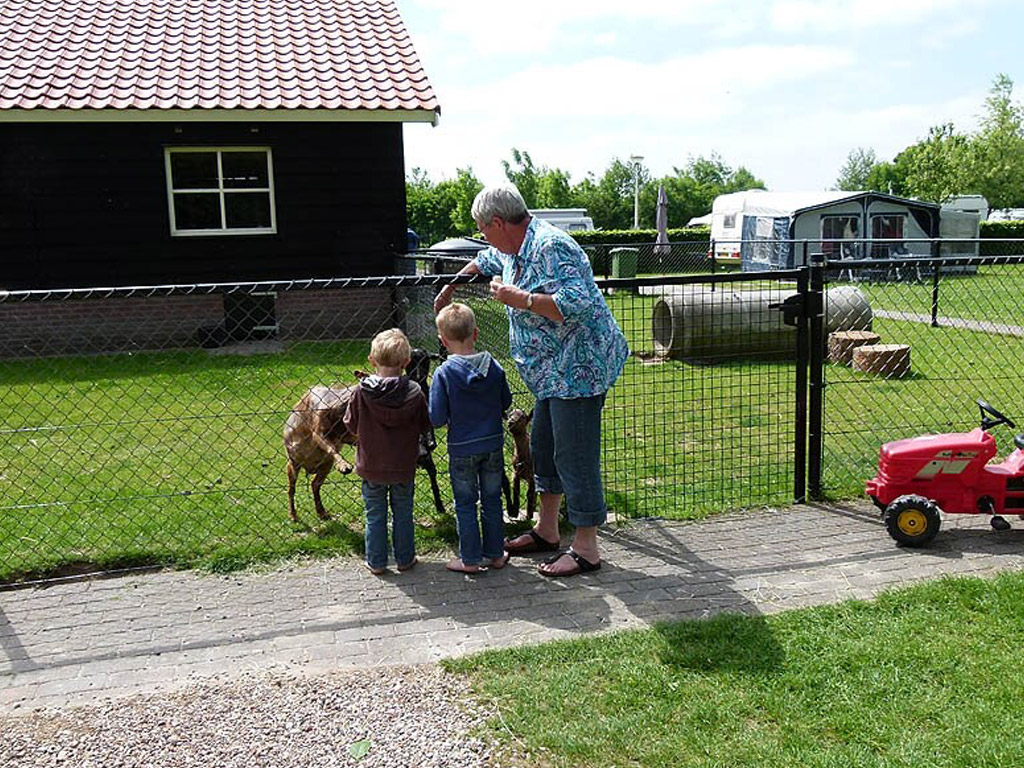 Camping De Weeltenkamp 3