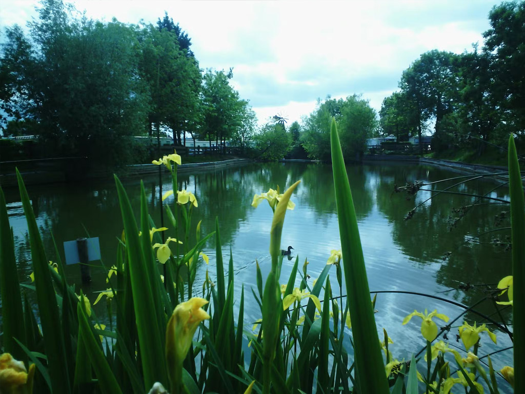 Camping La Paille Haute 3