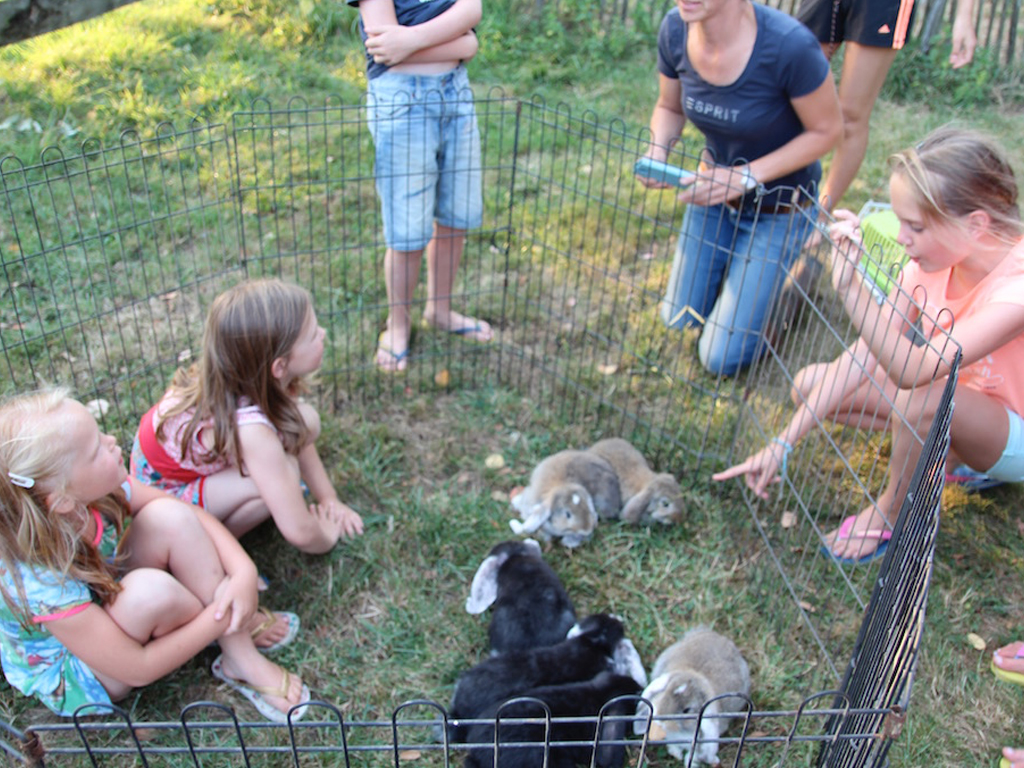 Camping Le Petit Chaillot 6