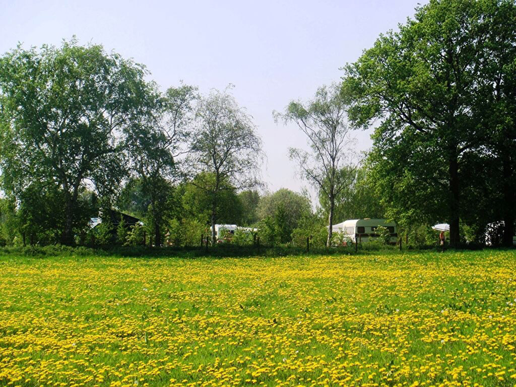 Camping De Graspol 4