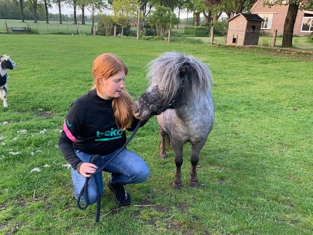 Minicamping T Loozerveld 5