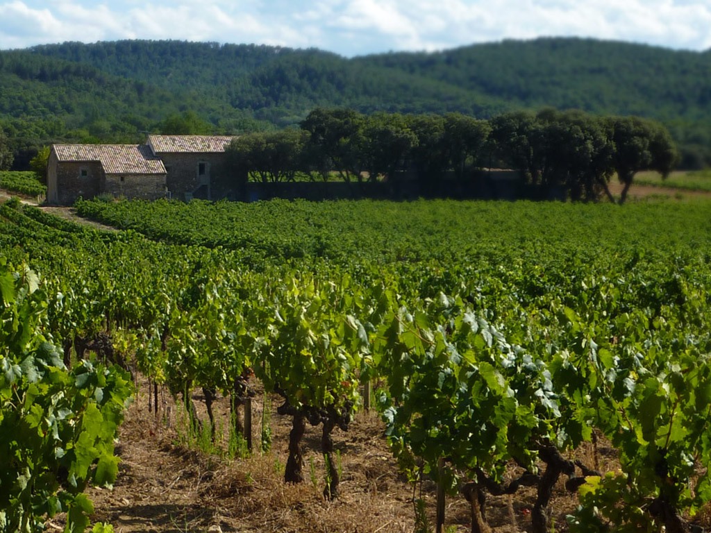 Mas De Coste Belle 8