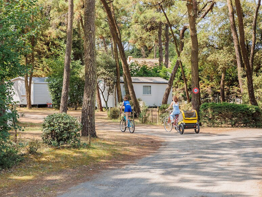Camping Le Bois De La Gachere 4