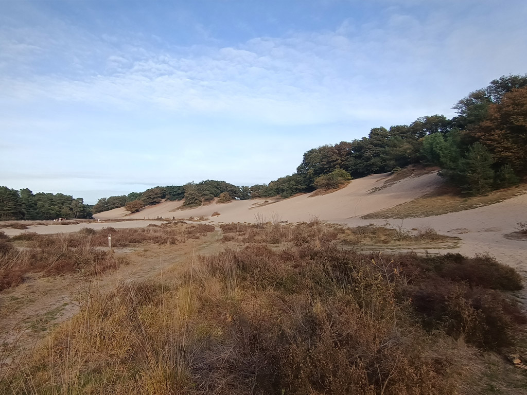 Camperplaats Uden Maashorst 2