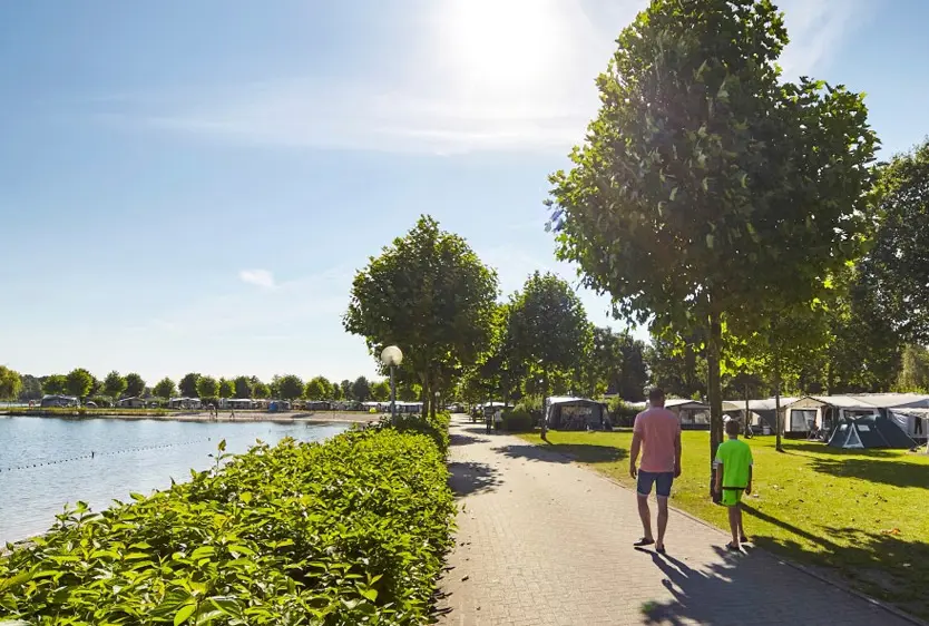 Ontdek de geheimen van een vakantie in Brabant: waarom het een must is!