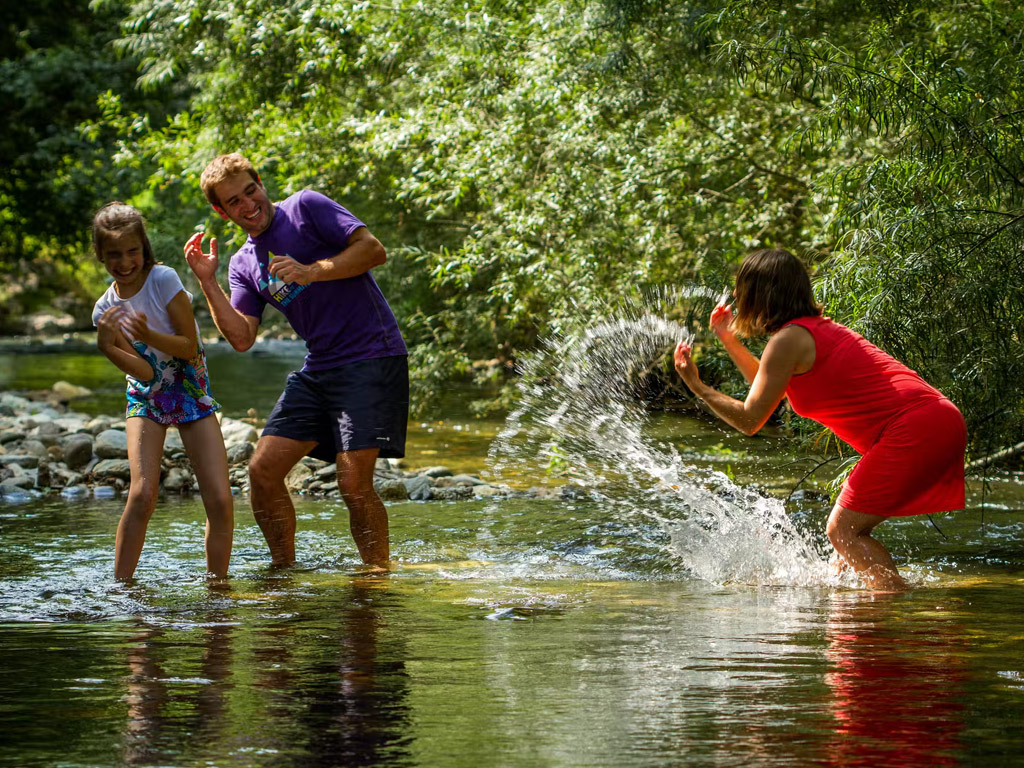 Flower Camping L Arize 3