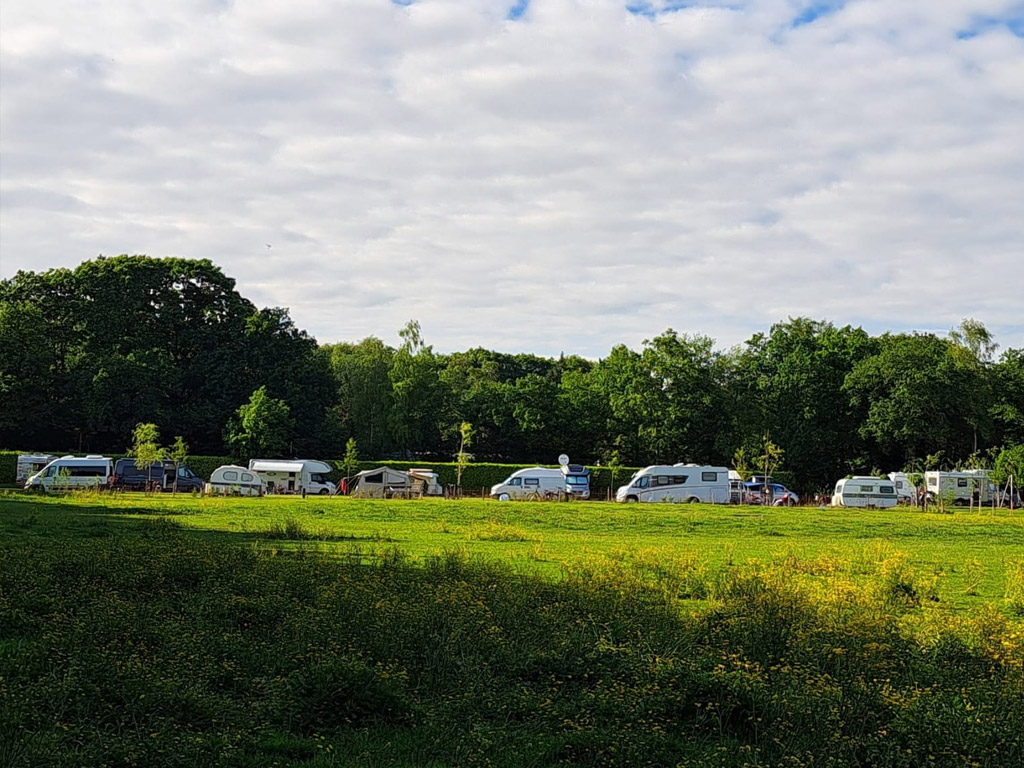 Camping Sparjebird 3