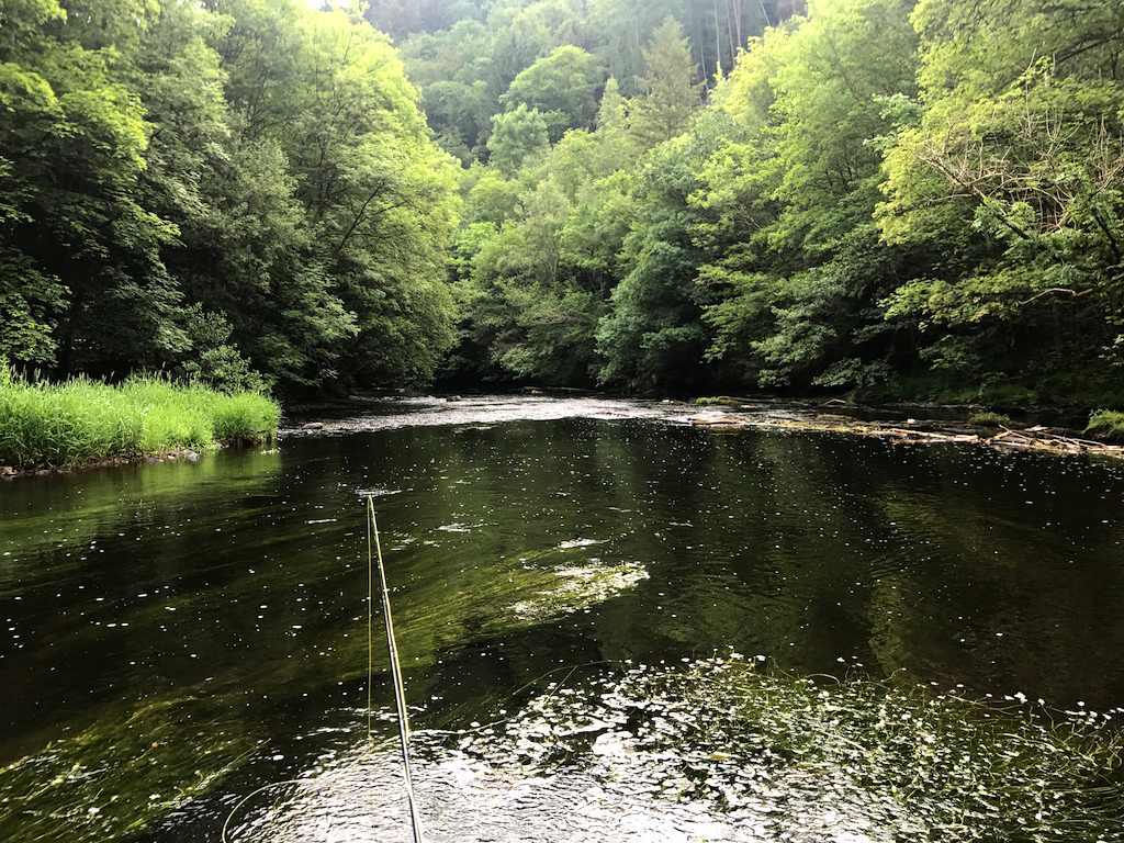 Kamperen in de Ardennen