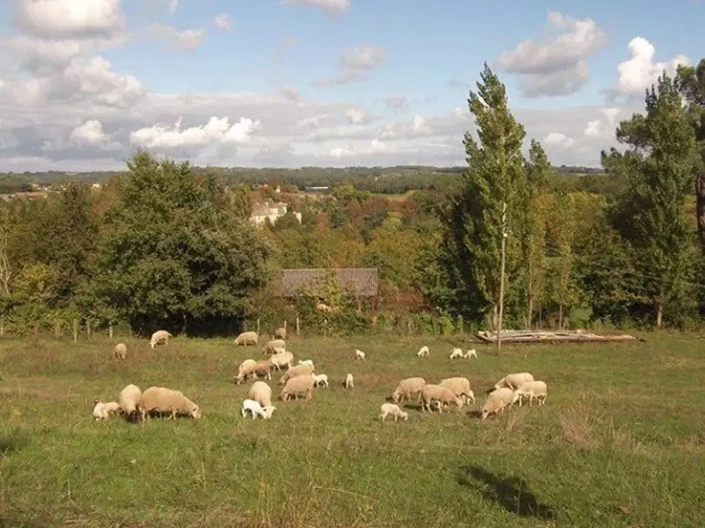 Kleinschalige boerderijcamping met zwembad in de Dordogne