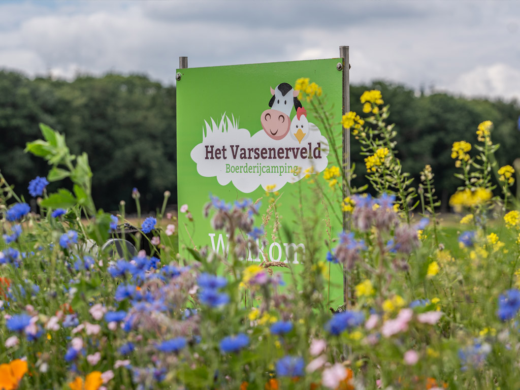 Boerderijcamping Varsenerveld 1