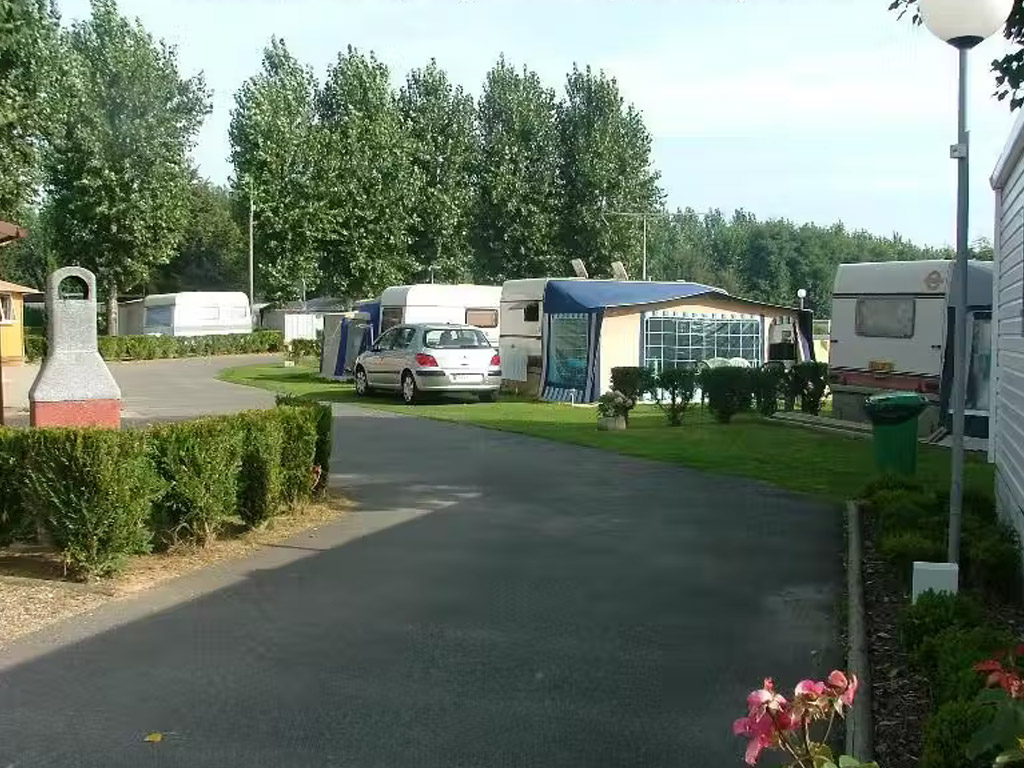 Flower Camping Vitamin 5