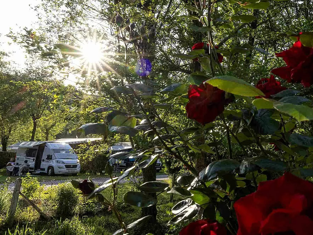 Camping Domaine De La Catiniere 10