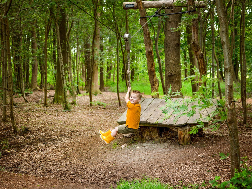 Farmcamps De Geele Bosch 1