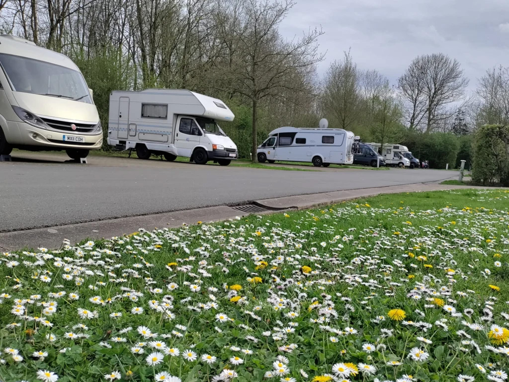 Urban Gardens Ieper 4