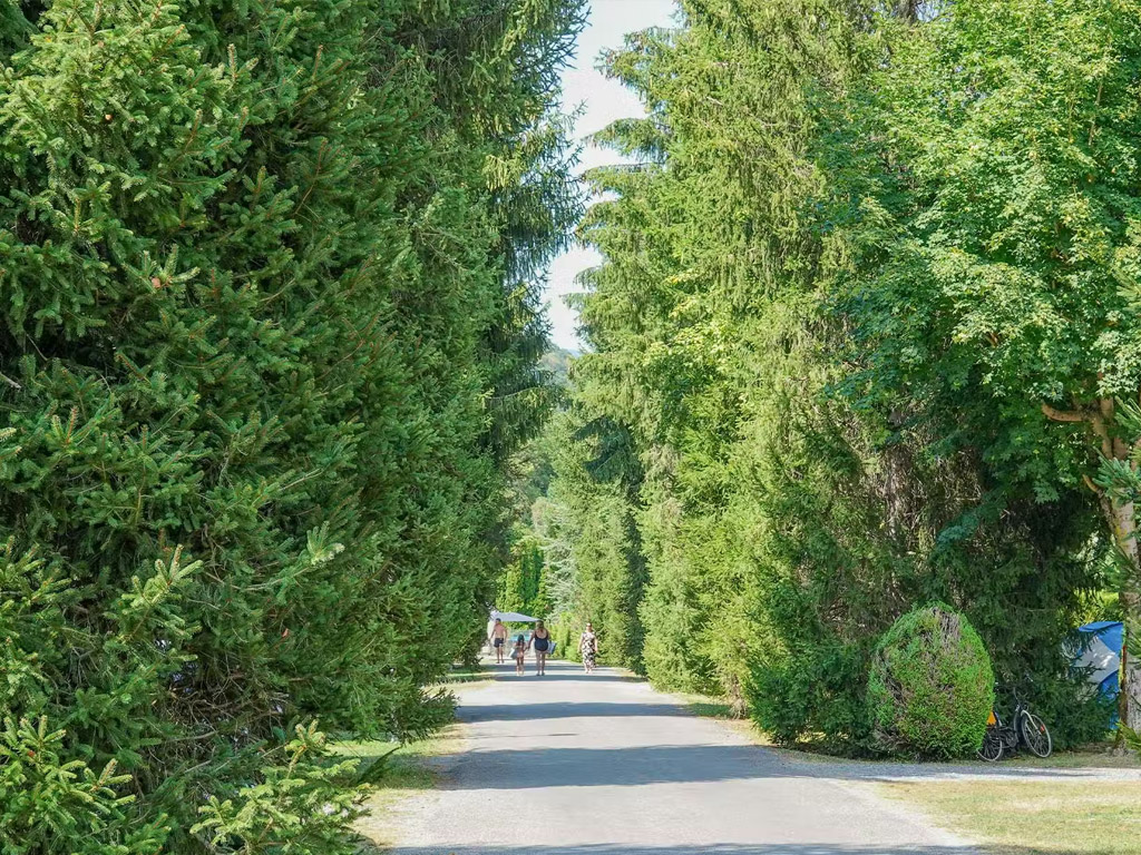 Camping Pradelongue 5