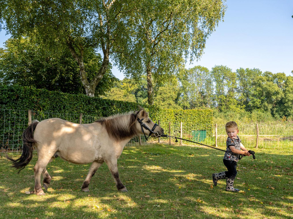 Farmcamps De Buitenhoeve 10