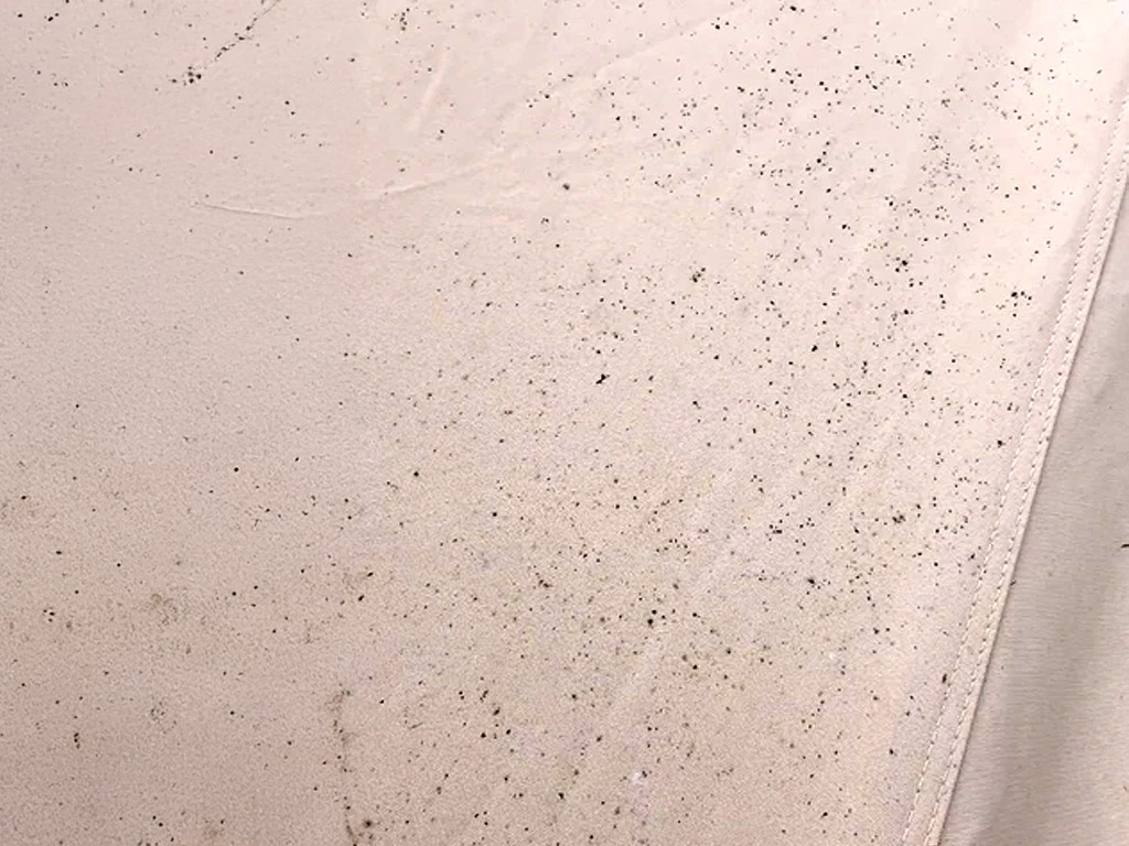 Schimmel in je tentdoek