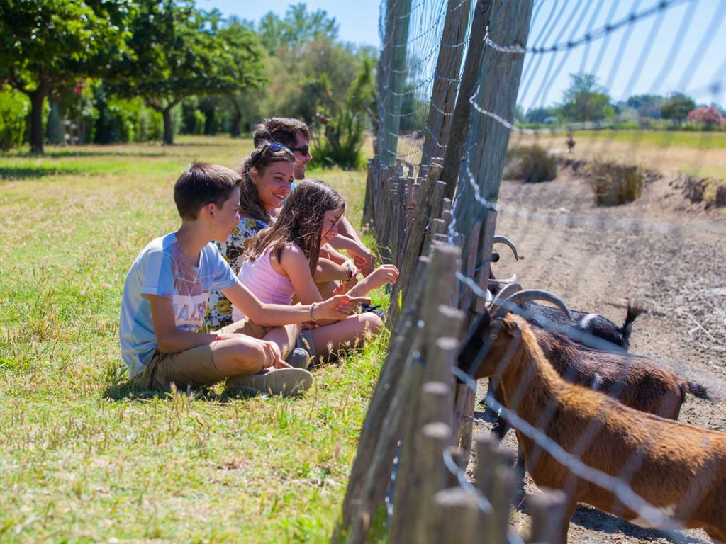 Camping La Petite Camargue 8