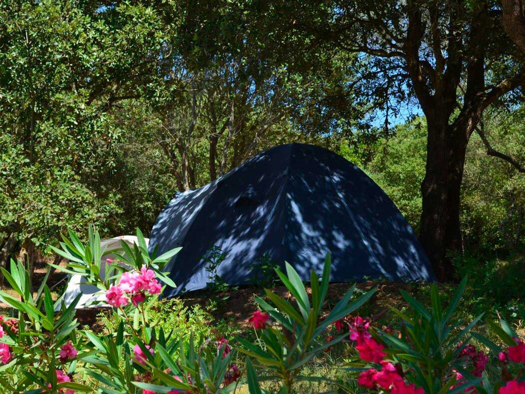 Camping U Libecciu 5