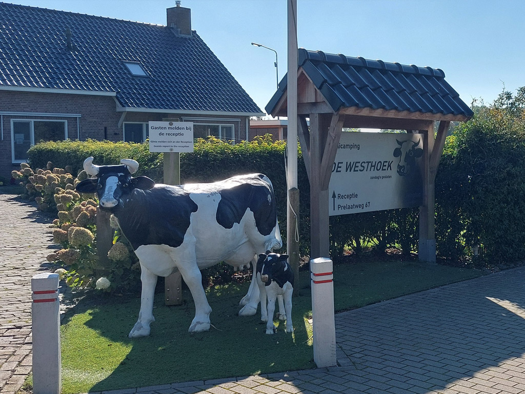 Camping De Westhoek 2