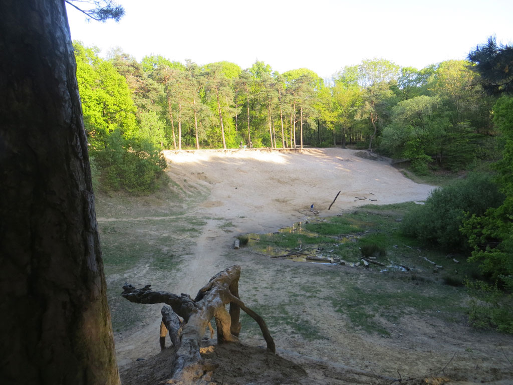 Molecaten park De Leemkule in Hattem