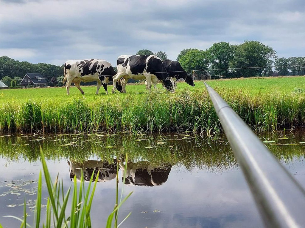 Minicamping T Loozerveld 1