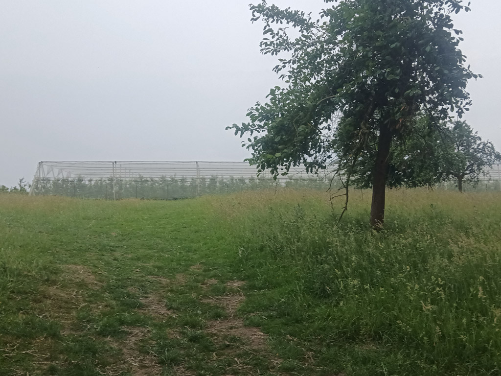 Hoeve Op Den Mierhoop 3