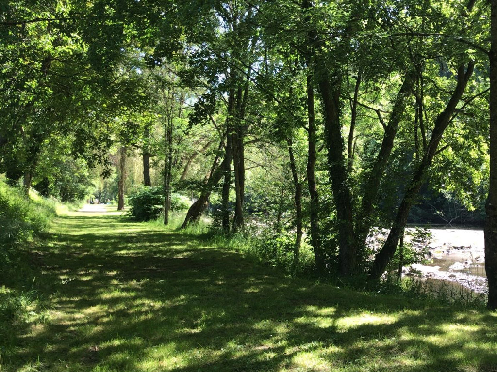 Vianden Castle Camp 5