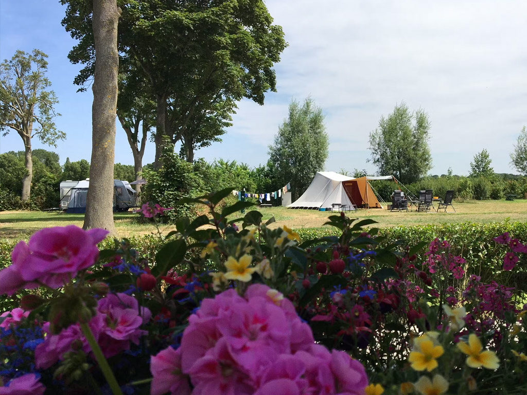 Minicamping Westerwijk 7