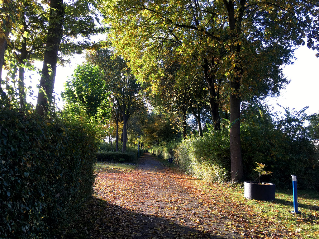 Het kampeerterrein