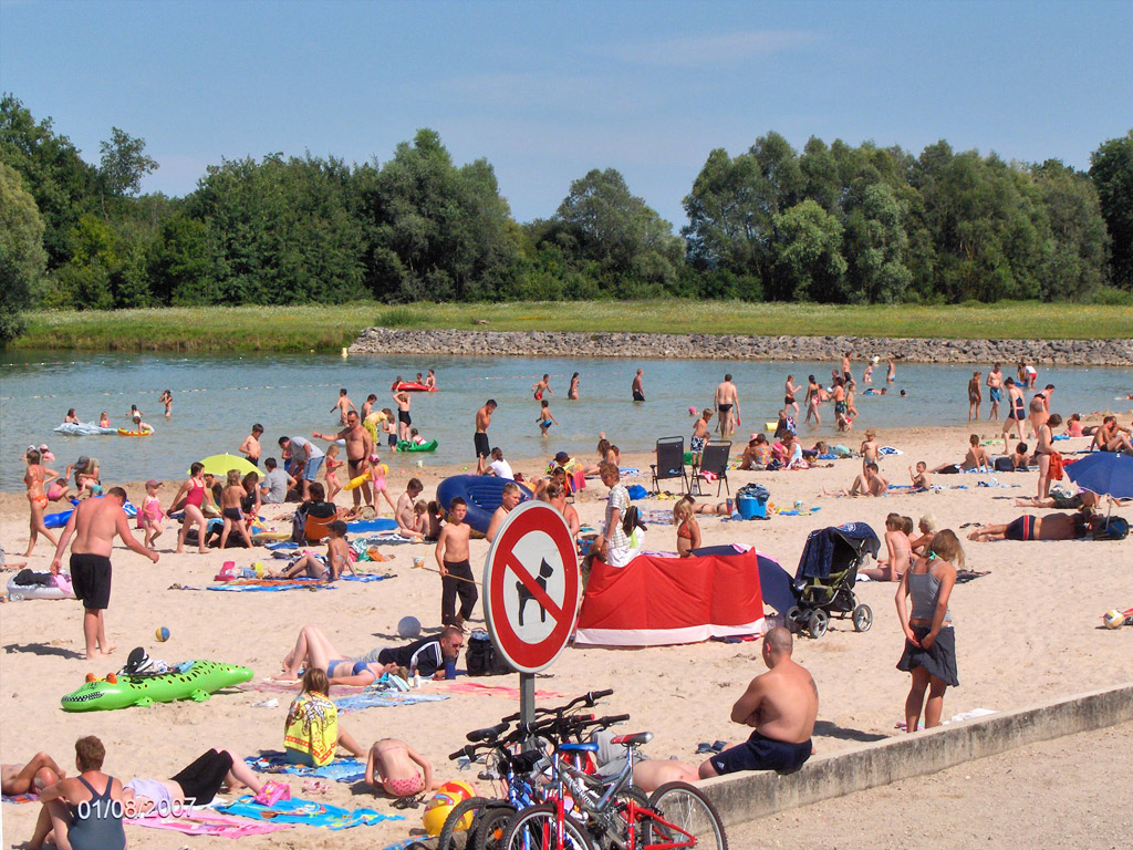 Flower Camping De La Foret 2