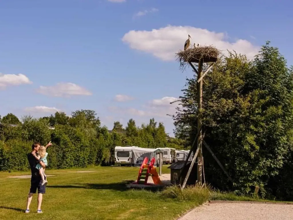 Charmante boerderijcamping nabij Ommen