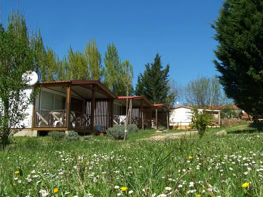 Flower Camping La Pibola 4